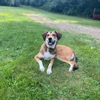 processed/d852020d-9930-4856-acd1-69c3d704b151/facility/596fec6b-f13b-4762-84c1-52d949bb12df