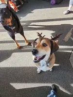 processed/d852020d-9930-4856-acd1-69c3d704b151/facility/8c967190-ddae-4f29-be44-7a3595dffe92