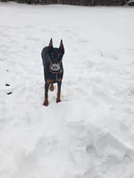 processed/d852020d-9930-4856-acd1-69c3d704b151/facility/947628db-d0e7-425d-b4e0-126f2c910b3e