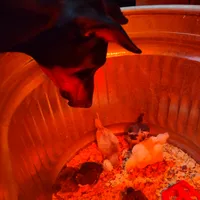 processed/d852020d-9930-4856-acd1-69c3d704b151/facility/b4ba1ddf-7725-4463-a547-a635dc8fdcc6