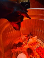 processed/d852020d-9930-4856-acd1-69c3d704b151/facility/b4ba1ddf-7725-4463-a547-a635dc8fdcc6