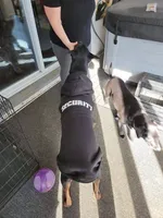 processed/d852020d-9930-4856-acd1-69c3d704b151/facility/bb98638c-0848-4460-a908-4a2b989a7809