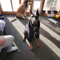 processed/d852020d-9930-4856-acd1-69c3d704b151/facility/cd4c5db0-76f7-481d-81a5-3afd684fc5b2