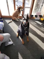 processed/d852020d-9930-4856-acd1-69c3d704b151/facility/cd4c5db0-76f7-481d-81a5-3afd684fc5b2