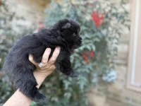 processed/d85c10b8-5c1b-49ab-8019-e199b1c18b5e/listing/16cfe885-6655-4aa1-b9bd-3da52f715f5a/06ea0340-9e3a-4d1f-8a16-c61eb9c524df