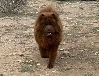 processed/d85c10b8-5c1b-49ab-8019-e199b1c18b5e/listing/16cfe885-6655-4aa1-b9bd-3da52f715f5a/1798bbc5-7dd9-40b8-b0a7-e9143a843ba1