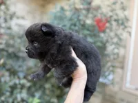 processed/d85c10b8-5c1b-49ab-8019-e199b1c18b5e/listing/16cfe885-6655-4aa1-b9bd-3da52f715f5a/3d117665-5232-4e84-8d1d-1268a35fc8aa