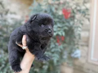 processed/d85c10b8-5c1b-49ab-8019-e199b1c18b5e/listing/16cfe885-6655-4aa1-b9bd-3da52f715f5a/51a10075-ba0f-4e02-a146-1bf0acd48a6a