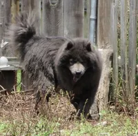 processed/d85c10b8-5c1b-49ab-8019-e199b1c18b5e/listing/16cfe885-6655-4aa1-b9bd-3da52f715f5a/5d0b87d2-38be-4805-a833-a049566e4127