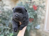 processed/d85c10b8-5c1b-49ab-8019-e199b1c18b5e/listing/16cfe885-6655-4aa1-b9bd-3da52f715f5a/95868ef3-de03-43cd-b315-4e65f60da0c5