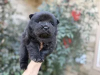 processed/d85c10b8-5c1b-49ab-8019-e199b1c18b5e/listing/16cfe885-6655-4aa1-b9bd-3da52f715f5a/b9870ee2-1602-4838-8212-0a30ed46e49a