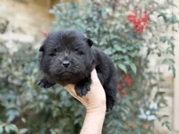 processed/d85c10b8-5c1b-49ab-8019-e199b1c18b5e/listing/24d7c867-5ac8-4a89-9f9e-588ed40928c3/0742a0ab-76c2-43ac-8b0c-0b1b89f19efd