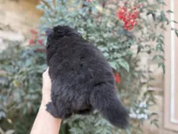 processed/d85c10b8-5c1b-49ab-8019-e199b1c18b5e/listing/24d7c867-5ac8-4a89-9f9e-588ed40928c3/3918918f-bc2c-4ff2-9ce0-1df2fc134c81