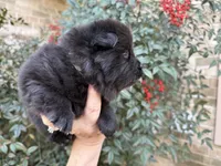 processed/d85c10b8-5c1b-49ab-8019-e199b1c18b5e/listing/24d7c867-5ac8-4a89-9f9e-588ed40928c3/567ad2ad-4c84-4b48-a1cf-f9b8ea0924a7