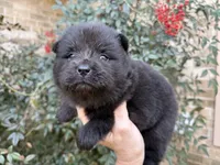 processed/d85c10b8-5c1b-49ab-8019-e199b1c18b5e/listing/24d7c867-5ac8-4a89-9f9e-588ed40928c3/936c4b1a-06a2-431b-827f-60ebae5cd234