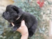 processed/d85c10b8-5c1b-49ab-8019-e199b1c18b5e/listing/24d7c867-5ac8-4a89-9f9e-588ed40928c3/b5984a9a-da5a-44e5-8829-78b11f5df472