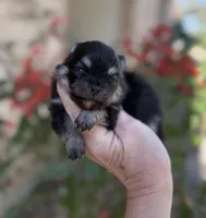 processed/d85c10b8-5c1b-49ab-8019-e199b1c18b5e/listing/59b24b61-c042-4fda-84ff-0d2ffcd366f1/1c3d64fc-7767-4225-8d9e-2cfba75c5b1a