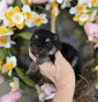 processed/d85c10b8-5c1b-49ab-8019-e199b1c18b5e/listing/59b24b61-c042-4fda-84ff-0d2ffcd366f1/21c94456-0c49-4c3a-9215-661d8083b2f4