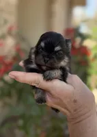 processed/d85c10b8-5c1b-49ab-8019-e199b1c18b5e/listing/59b24b61-c042-4fda-84ff-0d2ffcd366f1/34e0983d-1624-41ac-94ea-4f8bd9e5955e