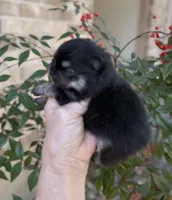 processed/d85c10b8-5c1b-49ab-8019-e199b1c18b5e/listing/59b24b61-c042-4fda-84ff-0d2ffcd366f1/37304ee4-832d-40c9-ba81-a70f127a37c6