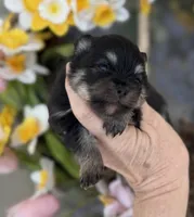 processed/d85c10b8-5c1b-49ab-8019-e199b1c18b5e/listing/59b24b61-c042-4fda-84ff-0d2ffcd366f1/7c310fc7-4c0a-43ab-b822-6e22f2eb2572