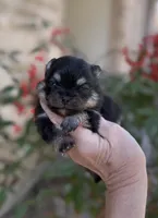 processed/d85c10b8-5c1b-49ab-8019-e199b1c18b5e/listing/59b24b61-c042-4fda-84ff-0d2ffcd366f1/c238c124-4196-44ae-96cd-3fef38219bd7