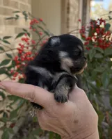 processed/d85c10b8-5c1b-49ab-8019-e199b1c18b5e/listing/59b24b61-c042-4fda-84ff-0d2ffcd366f1/db25585b-d738-46d8-917e-851c366ac479