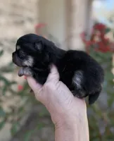 processed/d85c10b8-5c1b-49ab-8019-e199b1c18b5e/listing/59b24b61-c042-4fda-84ff-0d2ffcd366f1/e00af47f-b84e-4122-b290-42fa21593078