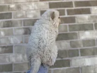 processed/d85c10b8-5c1b-49ab-8019-e199b1c18b5e/listing/62664059-42c1-40b7-b921-d10fa950f84b/841421ed-2c09-44d8-a7af-0161646f938f