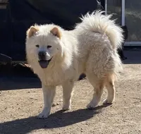 processed/d85c10b8-5c1b-49ab-8019-e199b1c18b5e/listing/62664059-42c1-40b7-b921-d10fa950f84b/d3446c03-5abb-4323-b4e1-cbbdaa530972