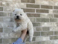 processed/d85c10b8-5c1b-49ab-8019-e199b1c18b5e/listing/62664059-42c1-40b7-b921-d10fa950f84b/e3fc4f0e-043b-4049-ab2e-bf8a280475b5