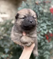 processed/d85c10b8-5c1b-49ab-8019-e199b1c18b5e/listing/6dbf2024-1d04-41f8-b35f-5d485c6eade6/2735d3b8-6e9e-4487-9533-62957c420229