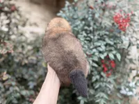 processed/d85c10b8-5c1b-49ab-8019-e199b1c18b5e/listing/6dbf2024-1d04-41f8-b35f-5d485c6eade6/51903552-a71d-451c-b8c9-91a54c0fd5c1