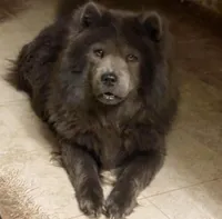 processed/d85c10b8-5c1b-49ab-8019-e199b1c18b5e/listing/6dbf2024-1d04-41f8-b35f-5d485c6eade6/5cf9d0ed-2368-4594-8597-a0678d0cd2fc