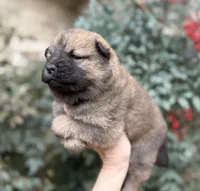 processed/d85c10b8-5c1b-49ab-8019-e199b1c18b5e/listing/6dbf2024-1d04-41f8-b35f-5d485c6eade6/62477446-0629-4eb2-ac52-ceed7b1118b4