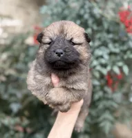 processed/d85c10b8-5c1b-49ab-8019-e199b1c18b5e/listing/6dbf2024-1d04-41f8-b35f-5d485c6eade6/6f1460c6-469e-4a14-aaaf-bac6b574b73a