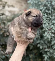 processed/d85c10b8-5c1b-49ab-8019-e199b1c18b5e/listing/6dbf2024-1d04-41f8-b35f-5d485c6eade6/78417d77-7b4c-4167-af43-aad724ac899f