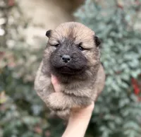 processed/d85c10b8-5c1b-49ab-8019-e199b1c18b5e/listing/6dbf2024-1d04-41f8-b35f-5d485c6eade6/816a800e-2475-4e76-865f-eae7953dd589