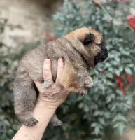 processed/d85c10b8-5c1b-49ab-8019-e199b1c18b5e/listing/6dbf2024-1d04-41f8-b35f-5d485c6eade6/e7d0332b-8b31-4712-a430-da9441e51abc