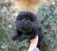 processed/d85c10b8-5c1b-49ab-8019-e199b1c18b5e/listing/b8f8a567-0983-4533-aa47-e4ce92364d8f/06ae951e-cb43-4148-b69e-a143a8569c80