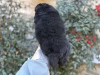 processed/d85c10b8-5c1b-49ab-8019-e199b1c18b5e/listing/b8f8a567-0983-4533-aa47-e4ce92364d8f/1cbbbe88-8a72-4892-bee6-5d32fdc44423