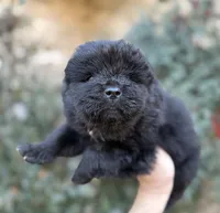 processed/d85c10b8-5c1b-49ab-8019-e199b1c18b5e/listing/b8f8a567-0983-4533-aa47-e4ce92364d8f/1ce3af29-4371-4856-a58d-a81e0ff93302