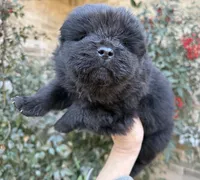 processed/d85c10b8-5c1b-49ab-8019-e199b1c18b5e/listing/b8f8a567-0983-4533-aa47-e4ce92364d8f/3e0fd889-0aa5-4f90-a1f8-32d81d98de84