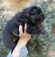 processed/d85c10b8-5c1b-49ab-8019-e199b1c18b5e/listing/b8f8a567-0983-4533-aa47-e4ce92364d8f/8b850766-2f92-41fa-8c3f-a2472e2d05d1