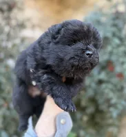 processed/d85c10b8-5c1b-49ab-8019-e199b1c18b5e/listing/b8f8a567-0983-4533-aa47-e4ce92364d8f/b5918d47-9f5f-4a63-9dc4-c42a10dd5de2