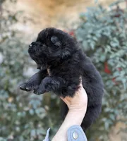 processed/d85c10b8-5c1b-49ab-8019-e199b1c18b5e/listing/b8f8a567-0983-4533-aa47-e4ce92364d8f/dd2b9b9d-2bce-4836-bc64-4948d4d356f4