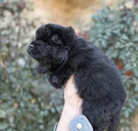 processed/d85c10b8-5c1b-49ab-8019-e199b1c18b5e/listing/b8f8a567-0983-4533-aa47-e4ce92364d8f/e847a65e-db51-43db-b9b9-1ba03d480681