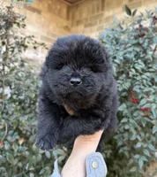 processed/d85c10b8-5c1b-49ab-8019-e199b1c18b5e/listing/b8f8a567-0983-4533-aa47-e4ce92364d8f/eea04ac5-c656-46b2-950a-2d1f35ffd99c