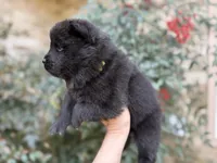 processed/d85c10b8-5c1b-49ab-8019-e199b1c18b5e/listing/f5c0b3bc-1198-4b5a-bc0c-d604fa198c38/000e8704-4844-4712-9da1-9d98d869c833