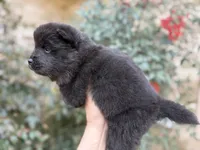 processed/d85c10b8-5c1b-49ab-8019-e199b1c18b5e/listing/f5c0b3bc-1198-4b5a-bc0c-d604fa198c38/5bd63e1a-fe27-4350-9f96-4eeac83e0582